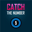 catch-the-number