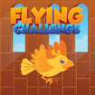 Flying Challenge