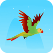 flying-parrot