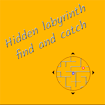 Hidden labyrinth – find and catch