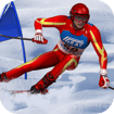 slalom-ski-simulator